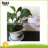 Meaty Plant Extrusion Type Plastic Kids Watering Can thumbnail-2