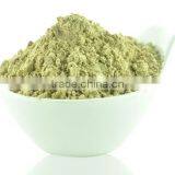 Factory Supply Best Quality Herb Natural Panax Notoginseng Root Extract thumbnail-6