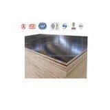 Poplar Core Film Faced Plywood for Construction thumbnail-2