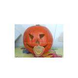 Pumpkin thumbnail-1