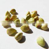 2014 Crop High Organic Buckwheat thumbnail-2