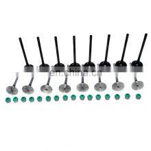 Free Shipping!Intake Exhaust Valves & Stem Seals Kit For Chevrolet Optra Suzuki Forenza Daewoo thumbnail-2