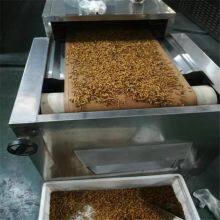 Continuous Yellow Mealworm Drying Equipment thumbnail-2