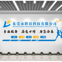 Dongguan Lingsheng Technology Co.,Ltd company overview - view 1 thumbnail