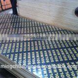 Film Faced Plywood ,commercial Plywood,plywood thumbnail-1