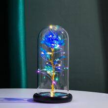 Factory Direct Romantic Gift Artificial Rose in Glass Dome With LED Light for Valentine Wife Girlfriend Wholesale thumbnail-4