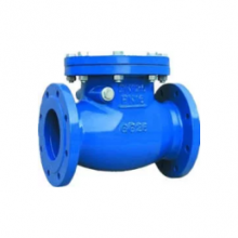 Swing Check Valve With Rubber Seat for High-Pressure Applications thumbnail-1