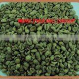 VIETNAM ROBUSTA GREEN COFFEE BEAN SCREEN 16