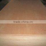 1/8" Plywood thumbnail-1