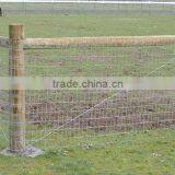 High Qulity and Non Climb Rigid Stay Horse Fence