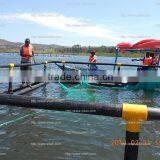 HDPE tilapia cage farming in Victoria lake