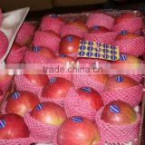 fresh Qinguan apple