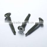 Large Wafer Head Self Drilling Roofing Screw Series