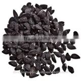 Black cumin Seed oil (Kalongi Oil)