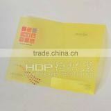 2012 Fancy Clear Plastic Pvc Pocket File Folder