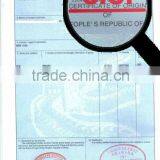 Shipping From Foshan to Egypt Certificate of Origin thumbnail-1