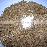 Exporter of Cuminum Cyminum / Cumin Seeds / Jeera