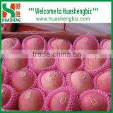 Top Quality Chinese 9kg-20kg Carton Fresh Fuji Apple thumbnail-6