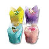 Transparent Birthday Party Chocolate Supply Wholesale Paper Cupcake Wrapper