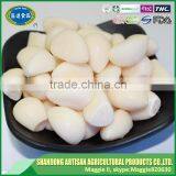 Factory Direct Sell Iqf Garlic Segment Garlic Clove Popular in Eruopean Market thumbnail-1