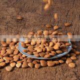 100% Nature Apricot Kernel Seeds thumbnail-2