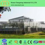 Steel Pipe Manufacturer Vegetable Greenhouse With Cost Price thumbnail-1