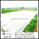 Polypropylene Spunbond Nonwoven Fabrics Used for Agricultural Mulch thumbnail-6