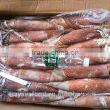 Whole Round Frozen Pacific Squid thumbnail-1