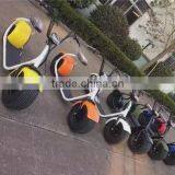 2017 Zhejiang Factory Newly Electric Bike 48V 800W Brushless Gearless Citycoco With Double Suspension&Disc Brakes&LCD Display thumbnail-1