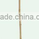 Thanksgiving Festive Grass Broom thumbnail-1