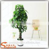 Artificial Olive Tree Indoor Plant for Home & Office Decorated thumbnail-2