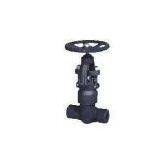 Pressure Seal Globe Valve thumbnail-1