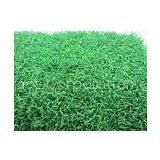 OEM 9000Dtex Green Tennis Artificial Grass Turfs w/ Yarn 20mm