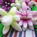 2018 Customized Inflatable Flower for Event Decoration thumbnail-1
