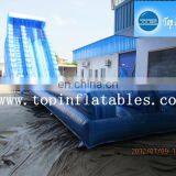 Giant Inflatable Water Slide for Adult/used Playground Slides for Sale