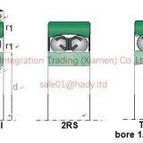 1218 1318 2218 2318 1219 1319 Self-aligning Ball Bearings thumbnail-3