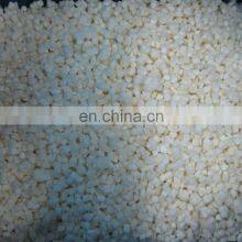 BRC A Approved IQF Vegetable 10x10mm Frozen Dices Water Chestnut for Dumpling From Sinocharm thumbnail-4