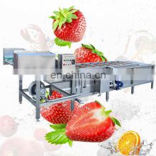 Air Bubble Leafy Automatic Washer Fruit And Vegetable Clean Production Line Vegetable Wash Machine Industry