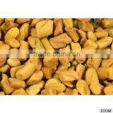 Indian Fenugreek Seeds thumbnail-3