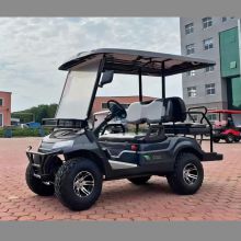 2+2 electric golf cart, 4-seater beach golf cart