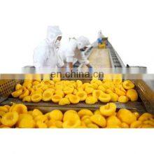 Canned Fruit Vegetable Processing Line thumbnail-1