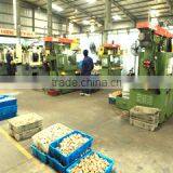 Minh Hoa Investment Joint Stock Company company overview - view 1 thumbnail