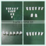 All sizes of silicone grafting clips at stock with lower price food grade FDA