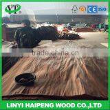 Linyi Factory 0.30mm 0.28mm Grade A/B Water Gum Face Veneer Alternative to Keruing Wood Veneer thumbnail-4