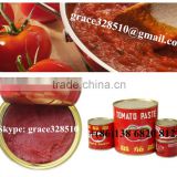 canned tomato production line