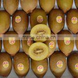 75% Al2O3 Ramming Mass for Ladle and Industrial Furnace High Purity Bauxite Low Cement Based Fire Clay Mortar