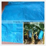 Plastic banana bunch cover with pesticide treatment
