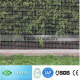 Iron Wire 5.5 mm Coils