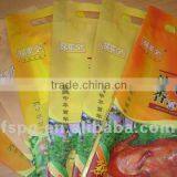 Bi-axially Oriented Polyamide Film (BOPA) thumbnail-2