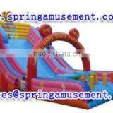 Giant Inflatable Slide for Adults and Children, Inflatable Water Slide, China Inflatables SP-SL030